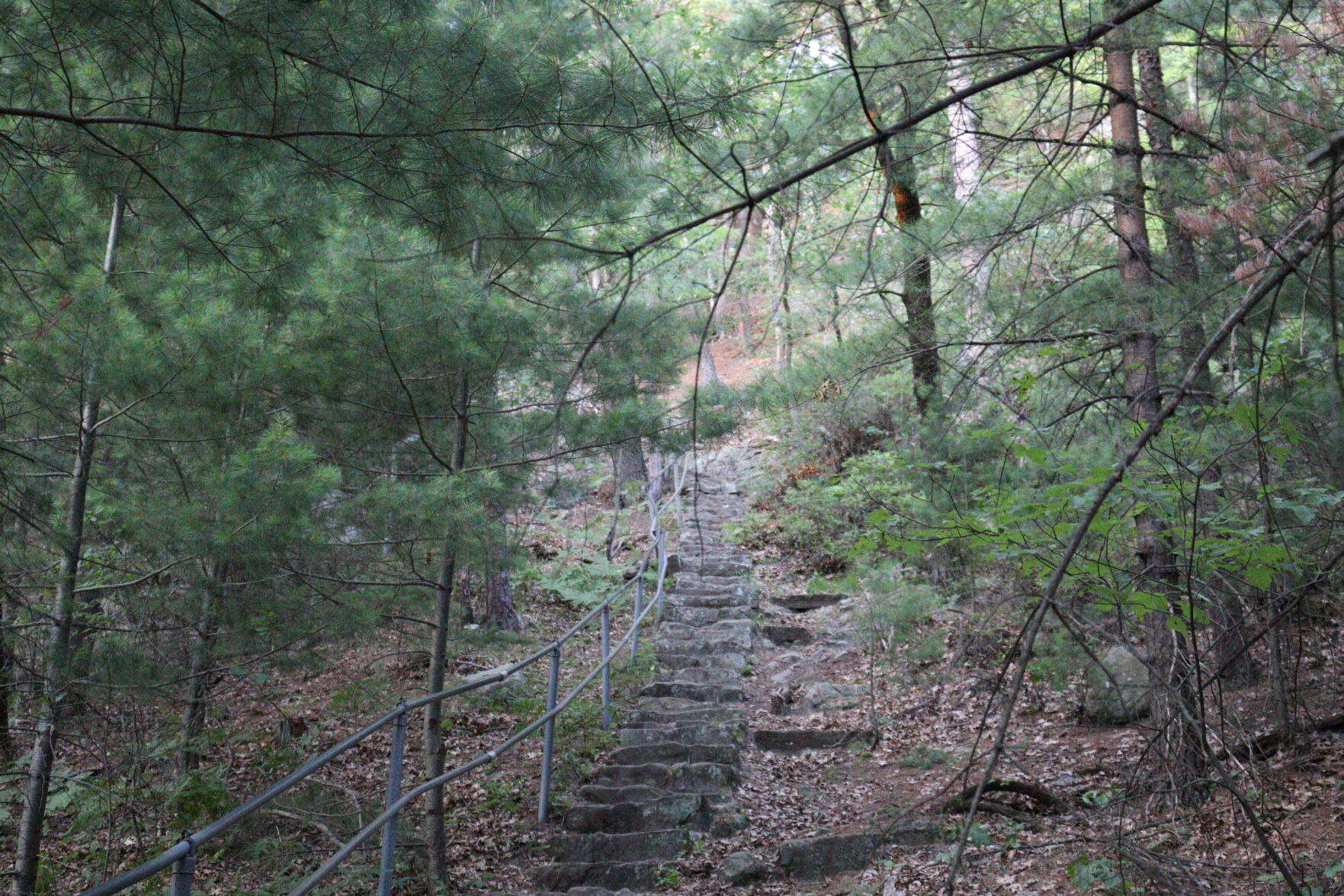 Mill Bluff State Park